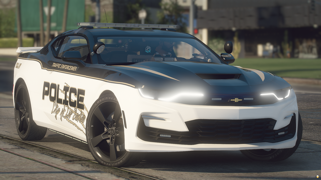 2019 Traffic Enforcement Sports Car